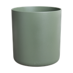 bouncy basil leaf green